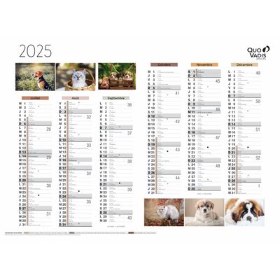 Quo Vadis - Calendrier Fantaisie 6 mois par face - 55 x 40,5 cm - animaux