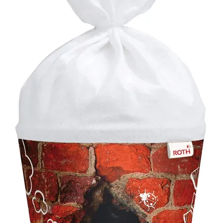 Roth Schultüte 70 cm Special Design Hund