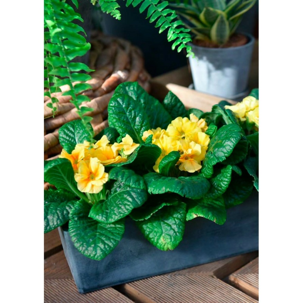 Jardinière en plastique recyclé - gris anthracite
