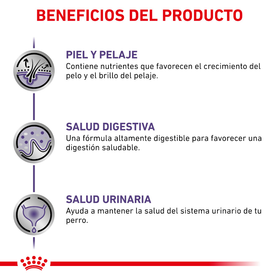 Sachê Royal Canin Expert Adult em molho para cães - Pacote
