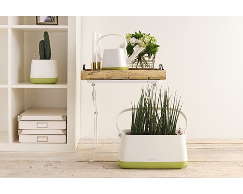 Lechuza Yula gieter, kunststof, 1,7 L, witgroen