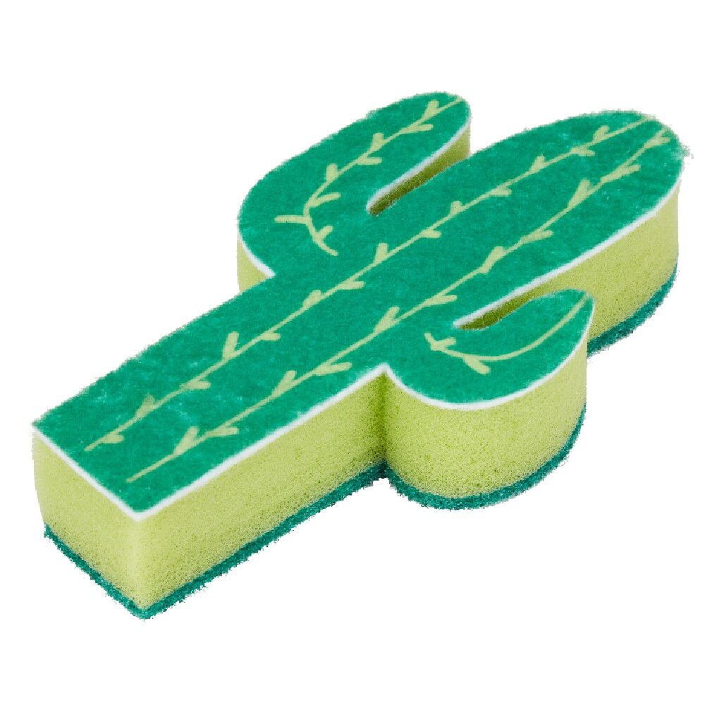 Éponge cactus