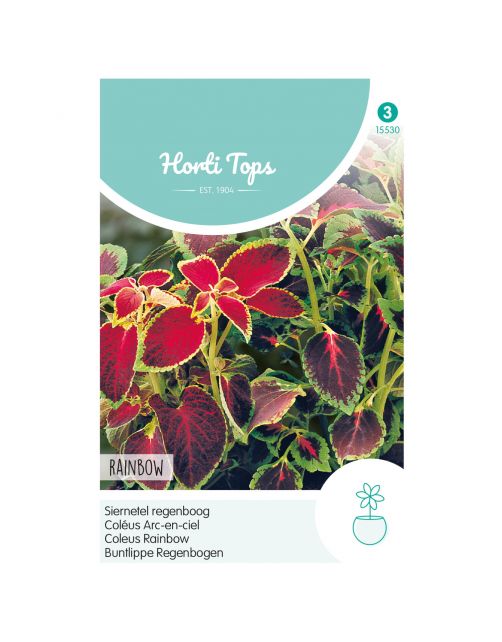 Hortitops Coleus - Siernetel Regenboogmengsel - Bloemenzaden - 200 g