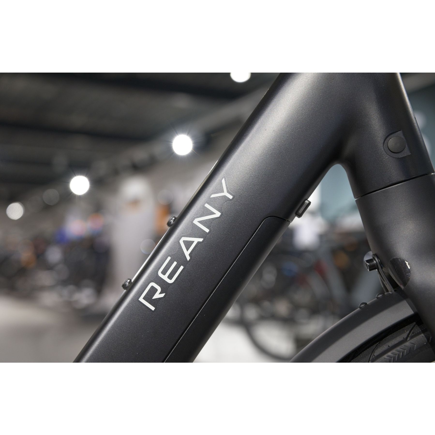 Reany W1