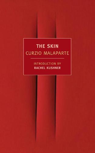 The Skin (Paperback)