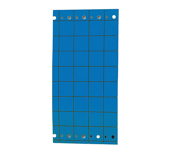 Piège englué bleu spécial thrips Biotop (10 plaques)