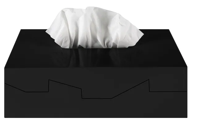 spirella Kosmetikbox