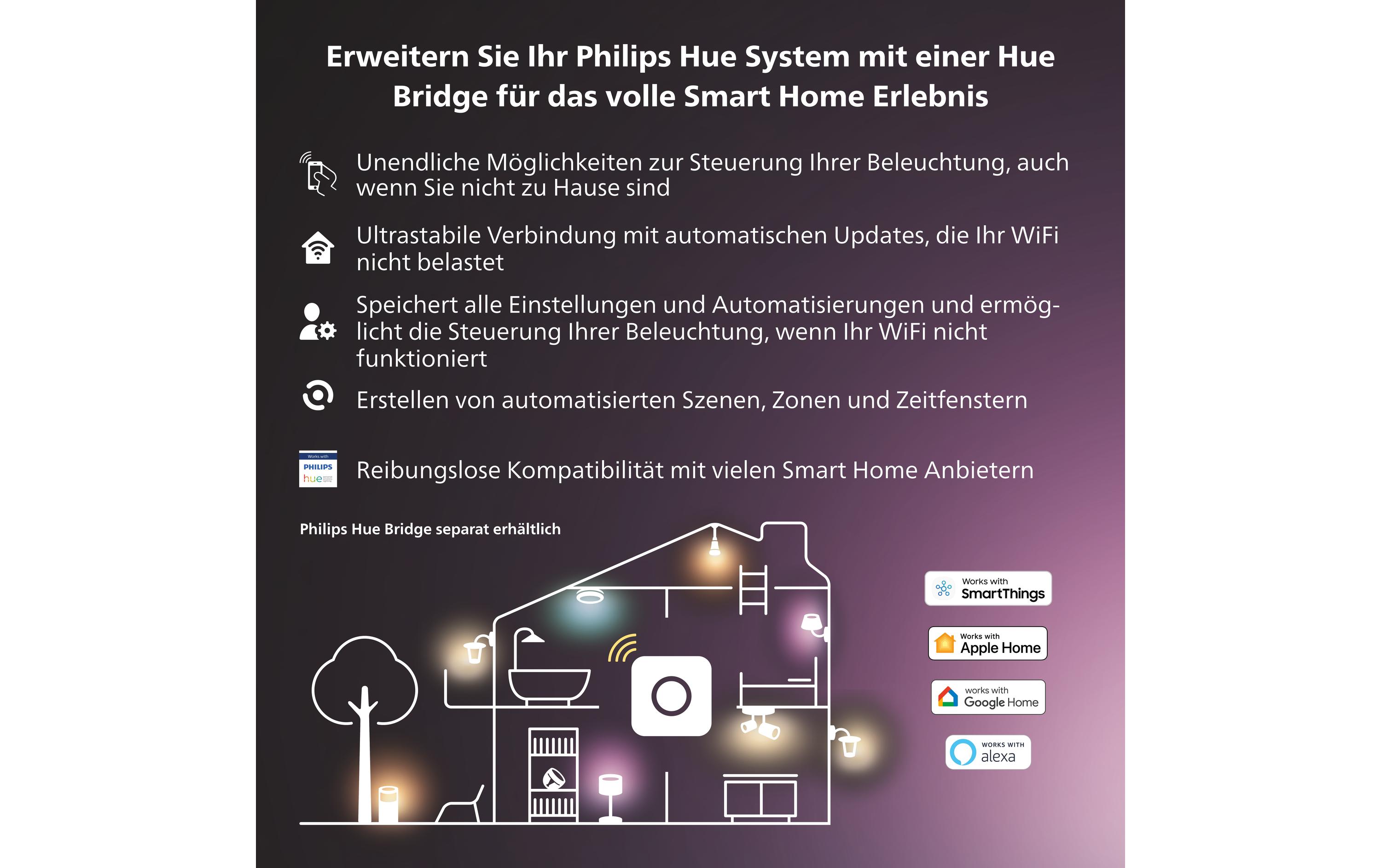 Festavia Lichterkette 40 m 500 LEDs CH<br>Smarte Weihnachtsbeleuchtung für den Innen- und Aussenbereich