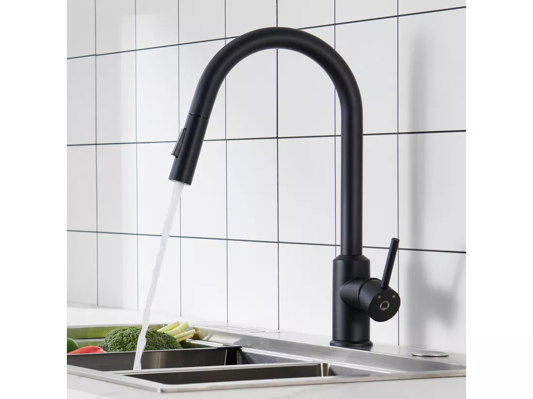 Cecipa max Mitigeur de Cuisine avec Douchette Extractible - Noir - en Acier Inoxydable Mitigeur Cuisine d'Évier - 2 Fonctions Mélangeur d,EU Modèle