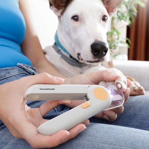 Kloklipper med LED-lys for hund og katt