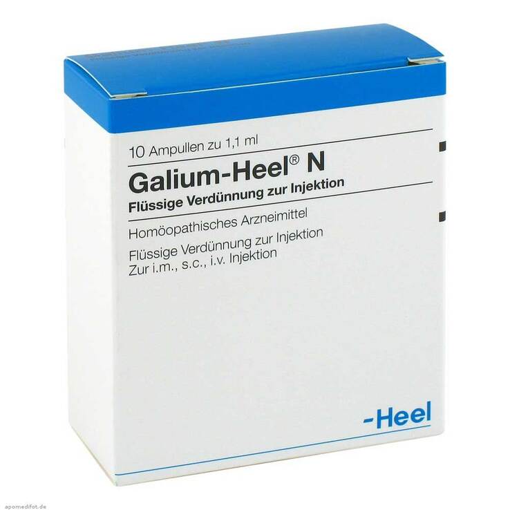 Galium Heel N Ampullen, 10 St