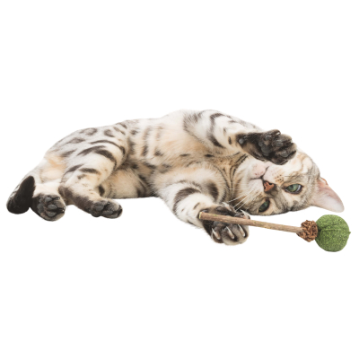 Trixie Katzenspielzeug Matatabi Lolli mit Katzenminze 11cm