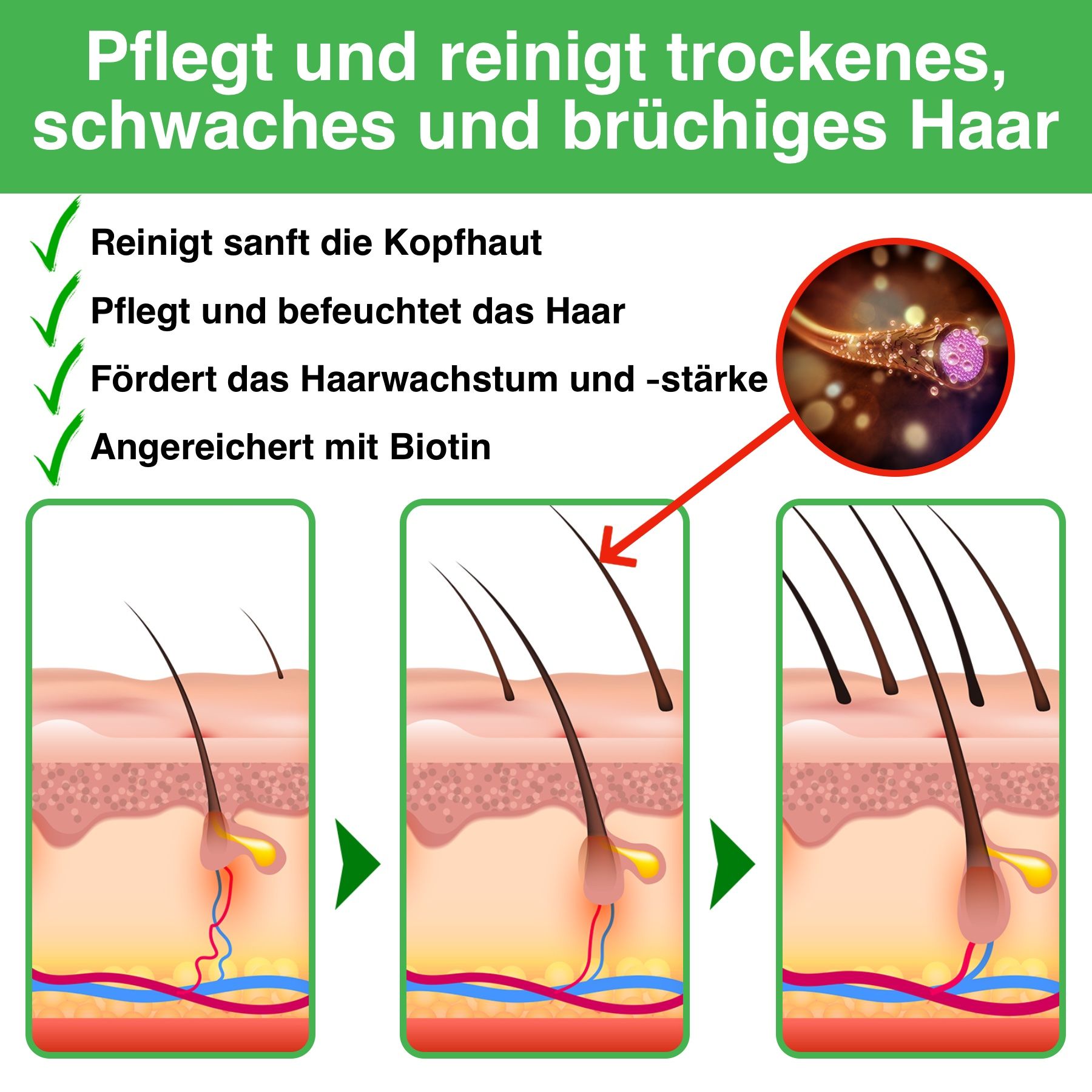 ALIVER Haarshampoo Rosmarinöl für Haarpflege