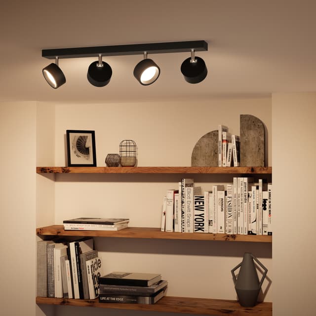 Philips Bracia spotlys 22 W