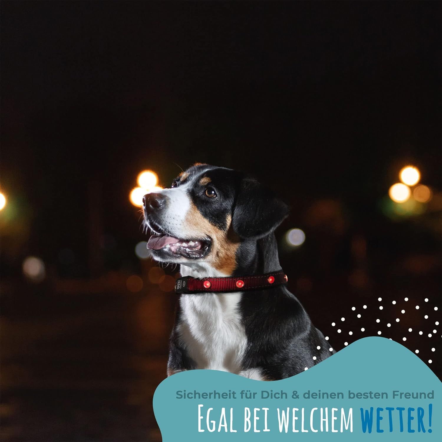 PETSATION Leuchthalsband Hundehalsband