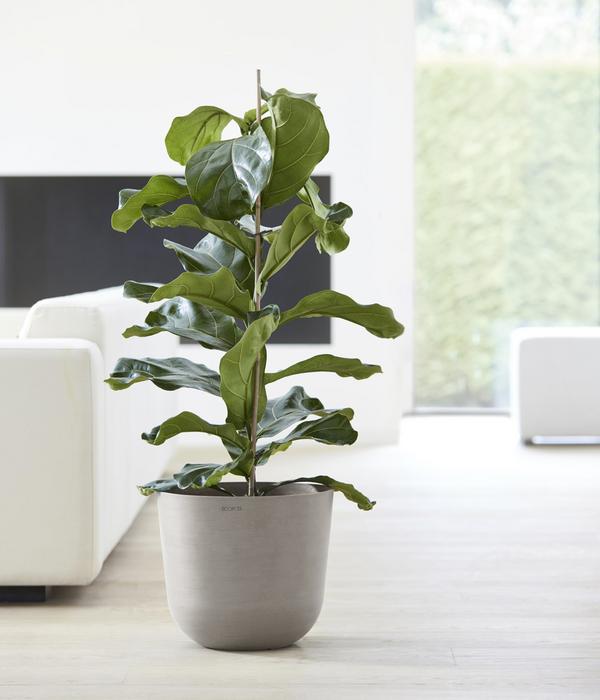 Ecopots Kunststoff-Topf Oslo mit Wassersystem,