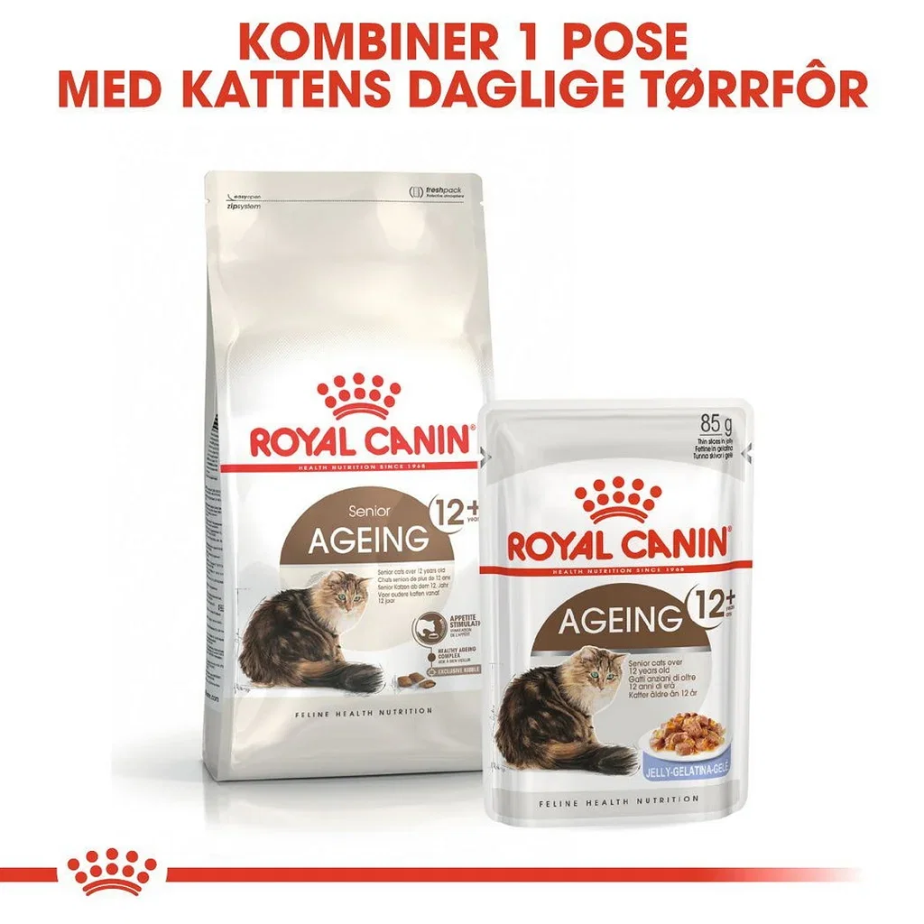 Royal Canin Royal Canin Ageing 12 4 kg