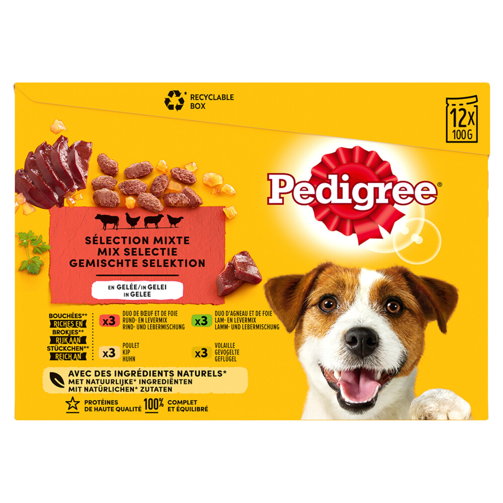Pedigree Adult Hondenvoer Maaltijdzakjes Multipack Vlees & Gevogelte in Gelei12 x 100 gr