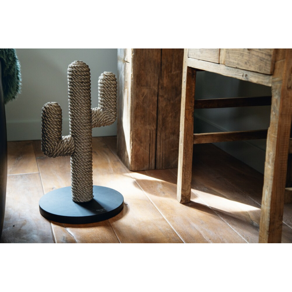 Designed by Lotte Krabpaal Cactus Zwart35 x 35 x 60 cm