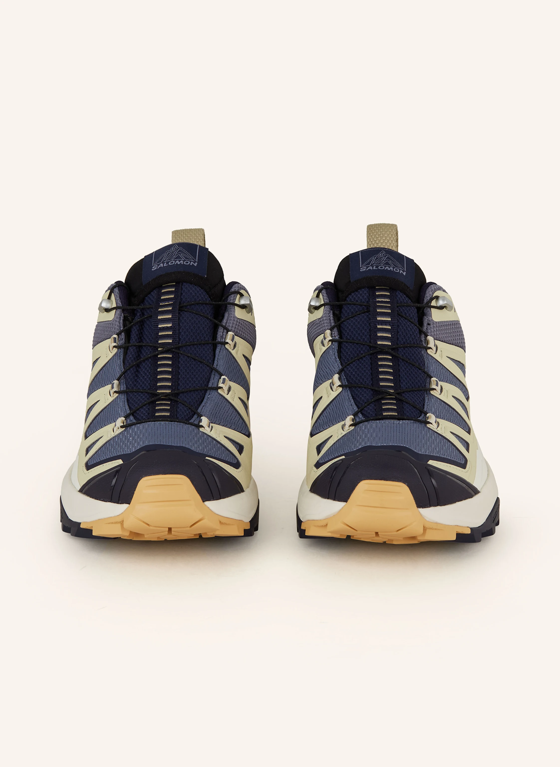 SALOMON Wanderschuhe X ULTRA 360 EDGE GTX