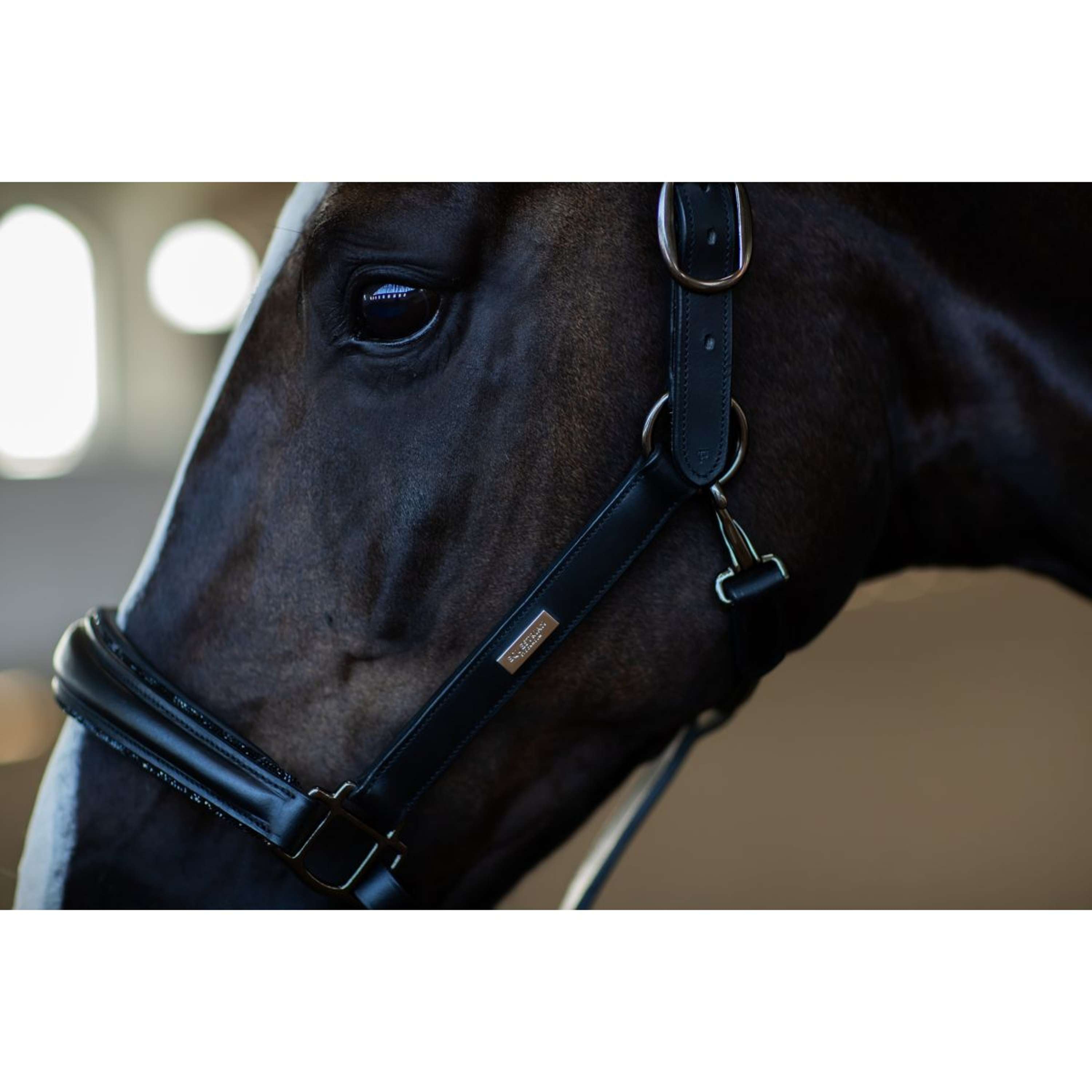 Equestrian Stockholm Halster Glimmer Anatomic Leather Zwart