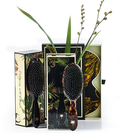 Fan Palm Haarbürste - Wet Brush - Medium - Octopus