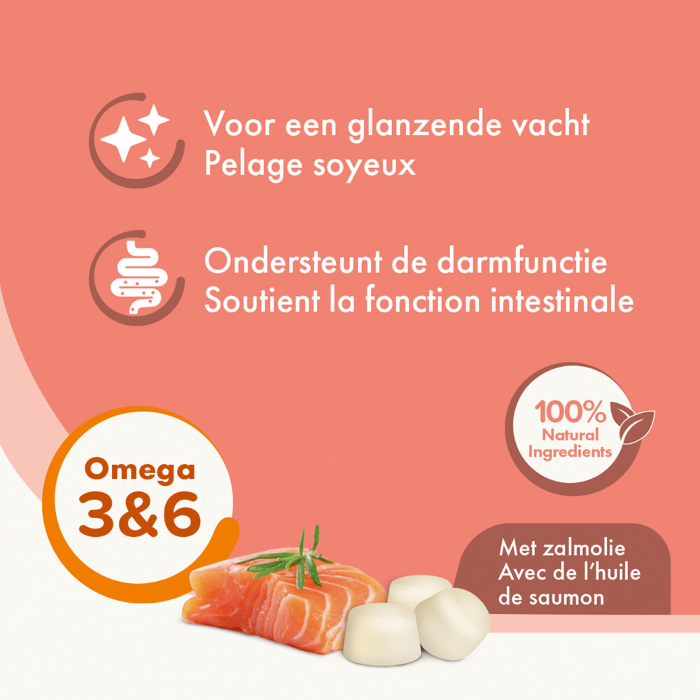Beaphar Schapenvet Bonbons Mini Zalm245 gr