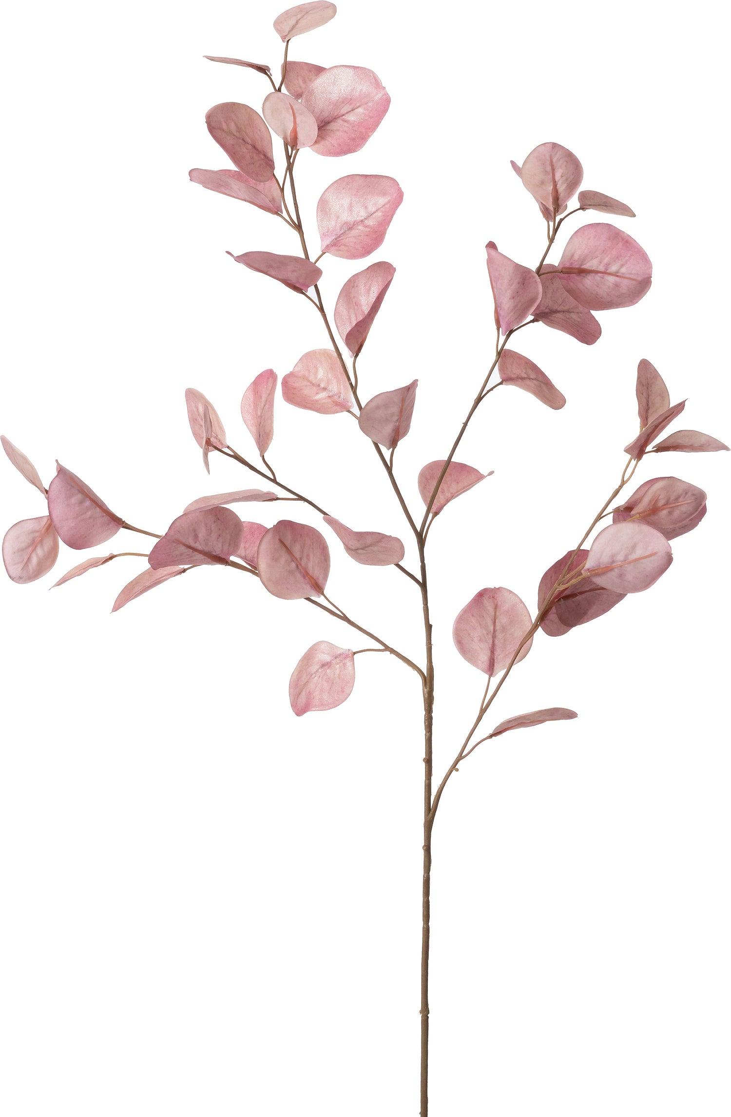 Intratuin kunsttak Cotinus roze 94 cm