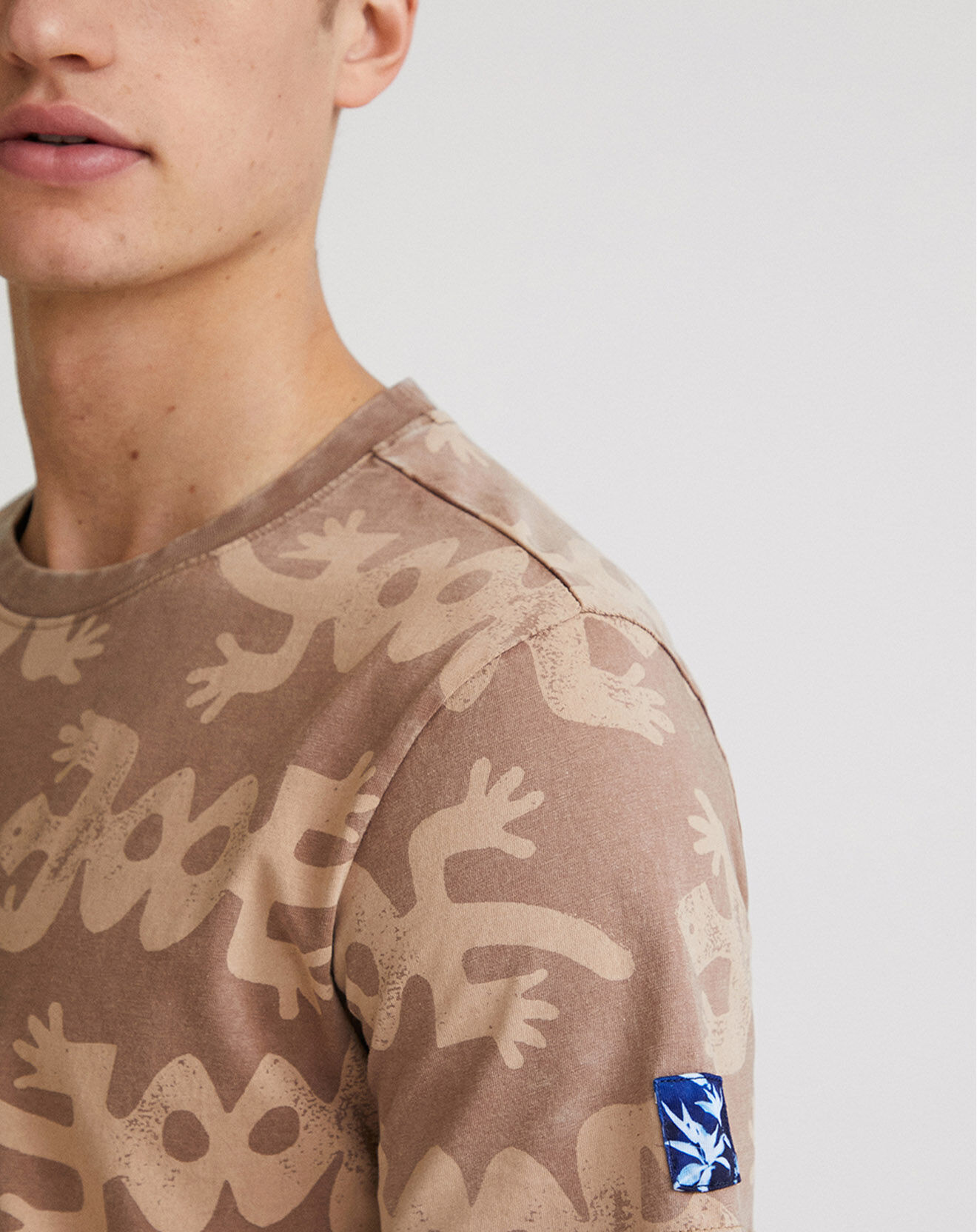 Desigual T-Shirt Igor taupe
