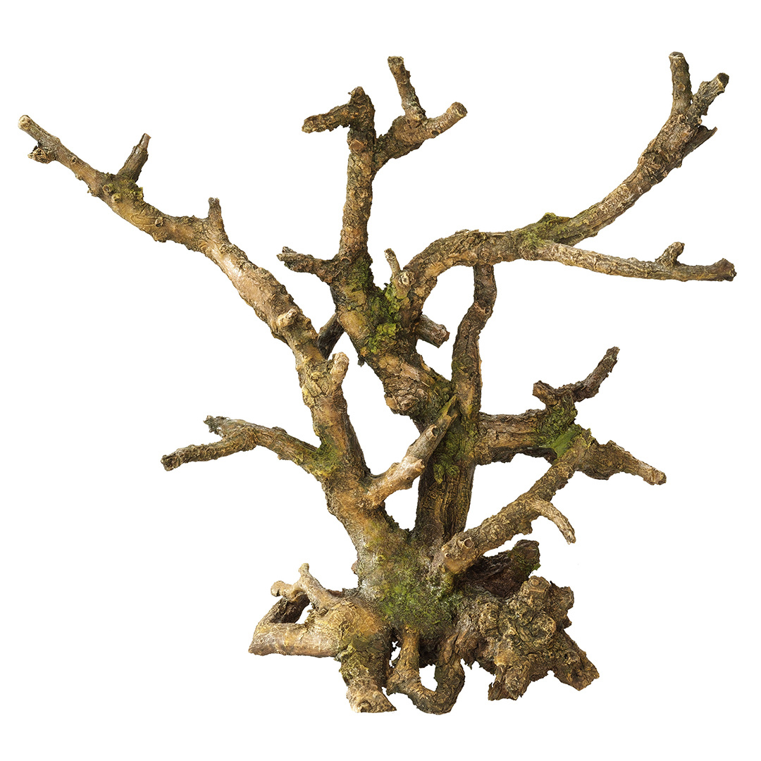 Aqua D'ella Bonsai zonder Blaadjes Bruin | Deco