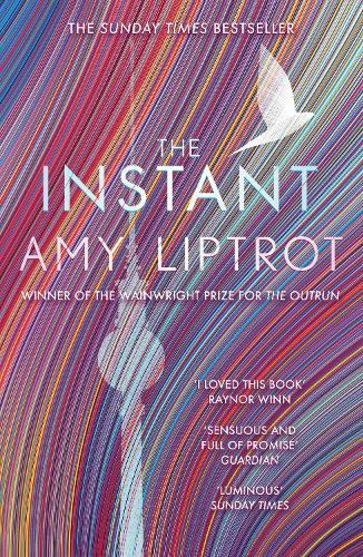 The Instant (Paperback)