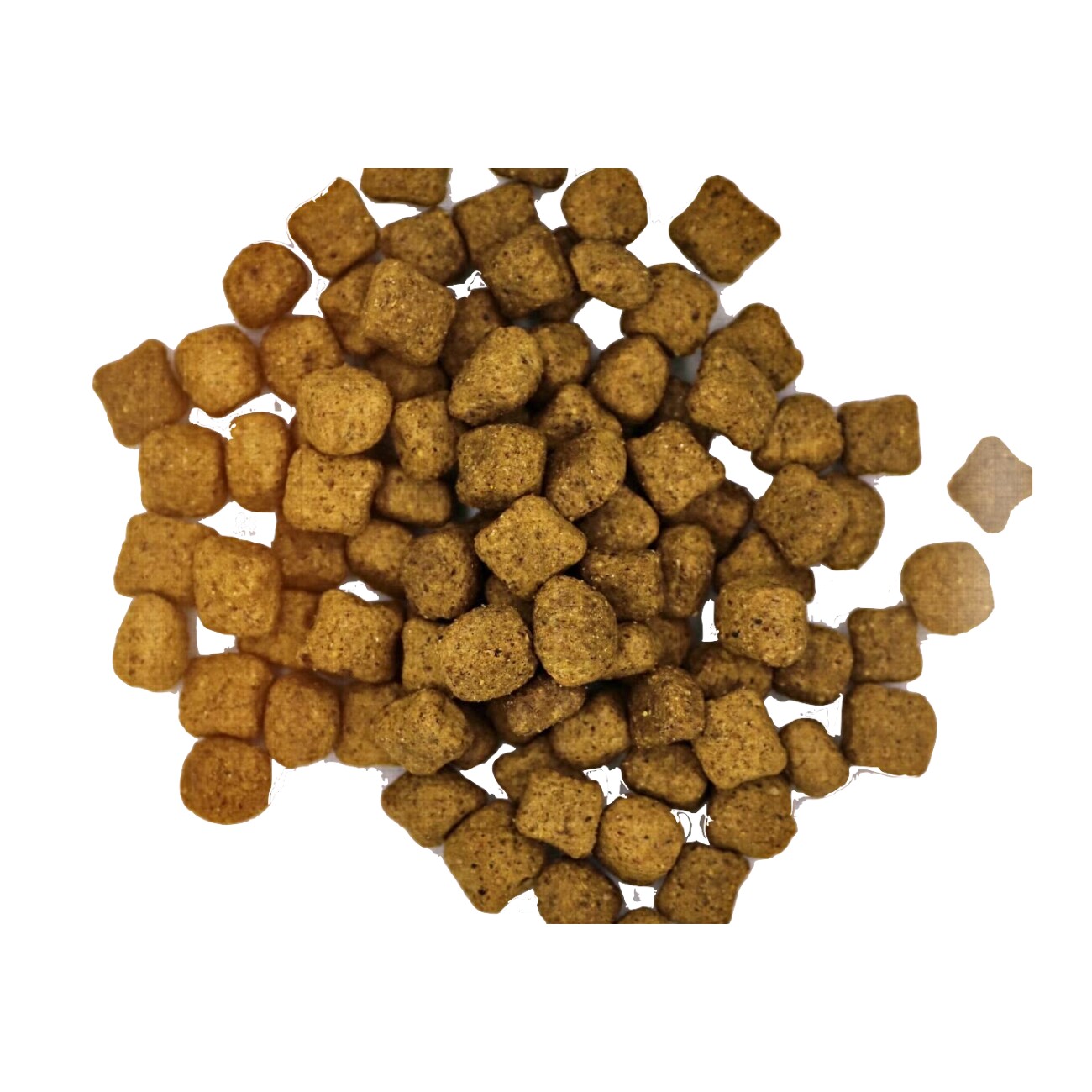 MyPetClub getreidefreies Insekten Hundefutter hypoallergen & sensitiv 8 kg