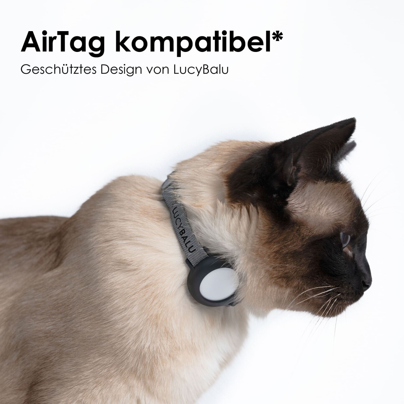 LucyBalu DORI AirTag Katzenhalsband (Nylon) anthrazit