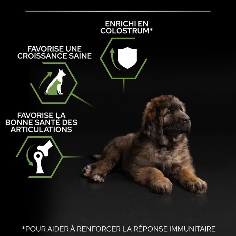 PURINA PRO PLAN Large Robust Puppy Healthy Start