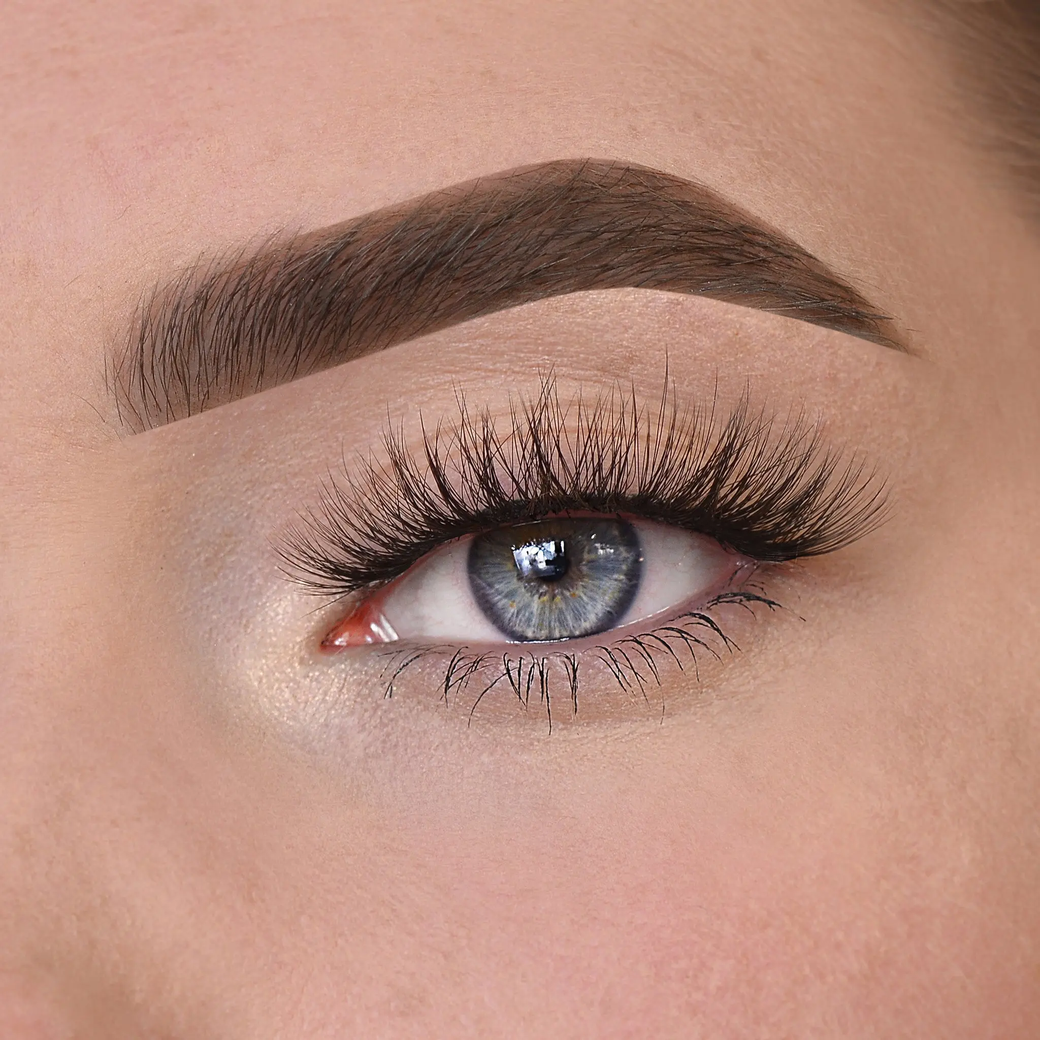 Nila Lashes