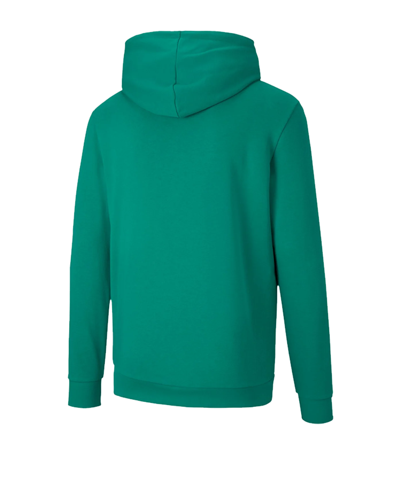 PUMA teamGOAL 23 Casuals Hoody Grün F05