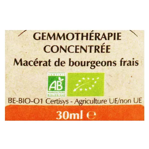 Herbalgem Complexe de Gemmothérapie Energem Energié Mentale Physique Bio 30ml
