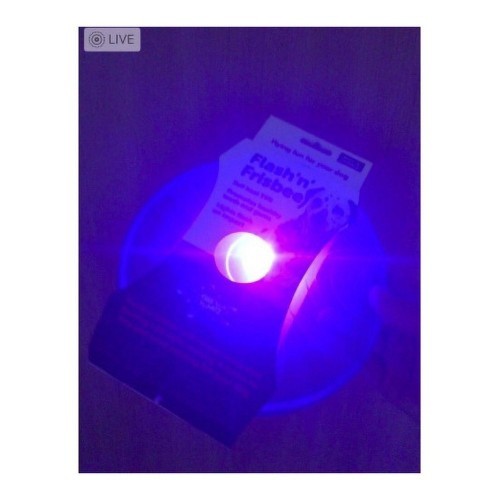 Brinquedo Frisbee Flash N Frisbee para Cães, Azul