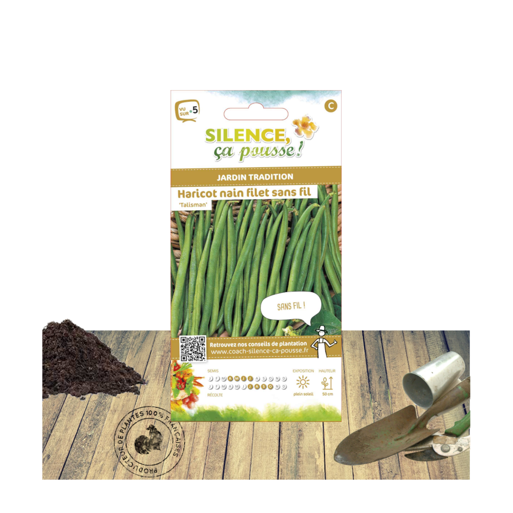 Graines de haricot nain à filet talisman/phaseolus vulgaris nain à filet talisman[-]sachet de 15 gr.