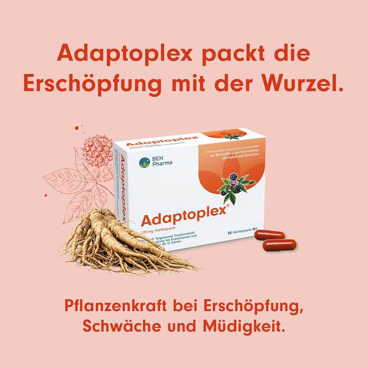 Adaptoplex 120 mg Hartkapseln, 60 St