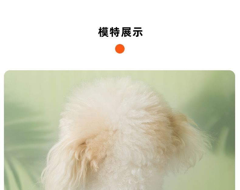Cissilli - Bloemen Pet Top