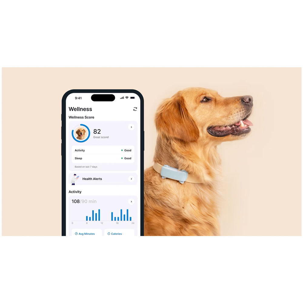 GPS DOG 6 Pet Tracker für Hunde mit Live Ortung und Aktivitäts Tracking iOS/Android (TRDOG6MT) - Mint
