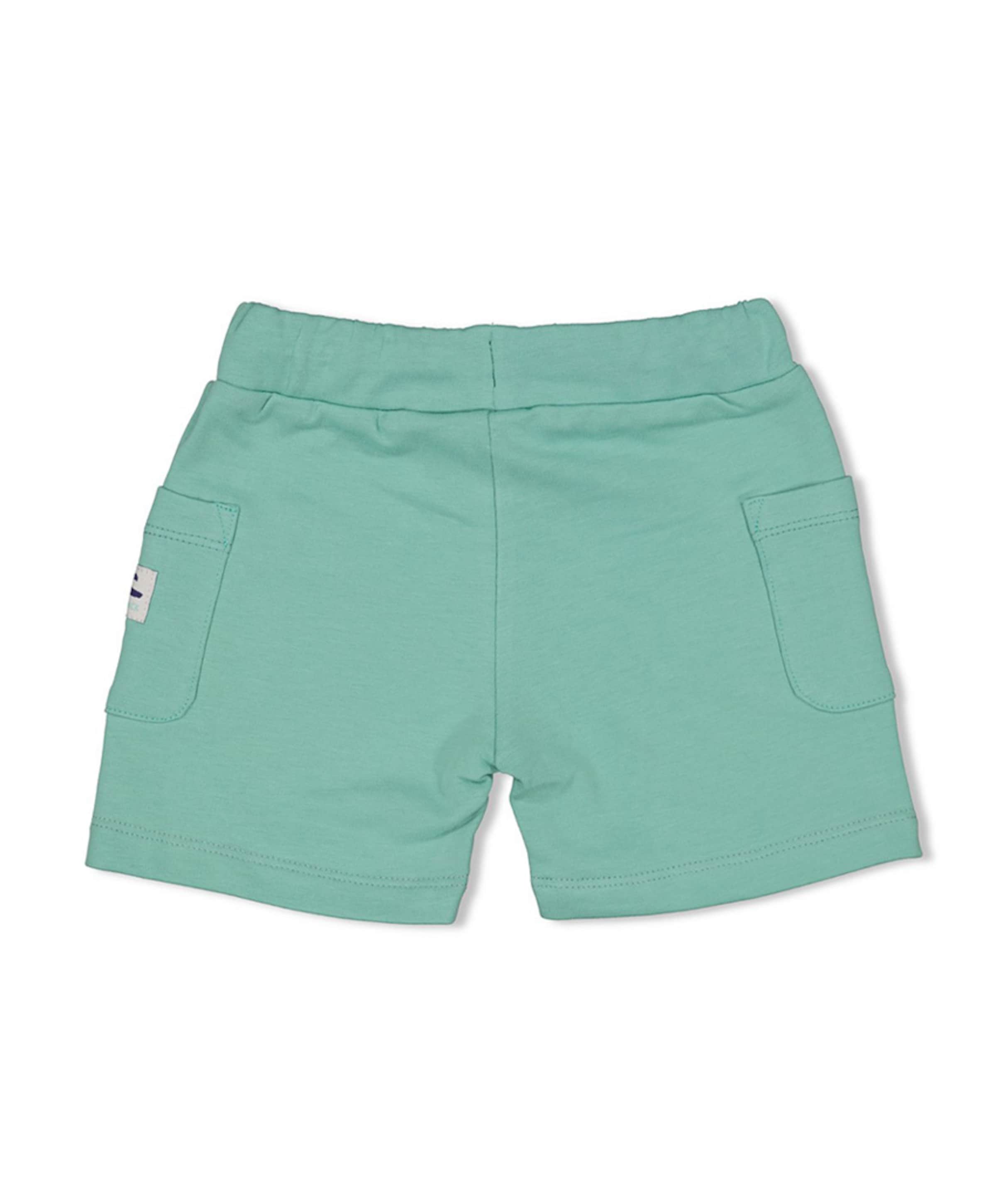 Feetje Meisjes korte broek blauw