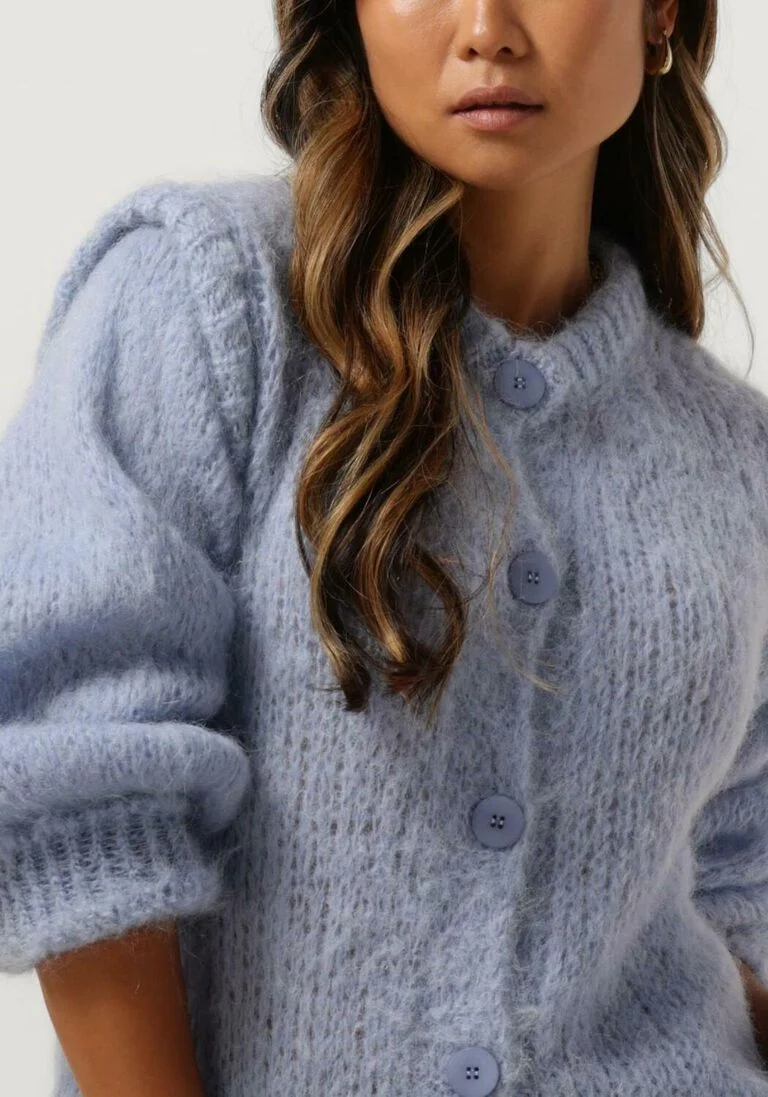 AMERICAN DREAMS blauwe american dreams vest olly cardigan