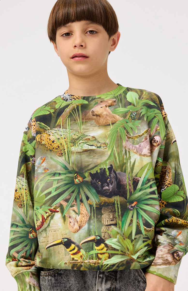 Mattis - Jungle Animals