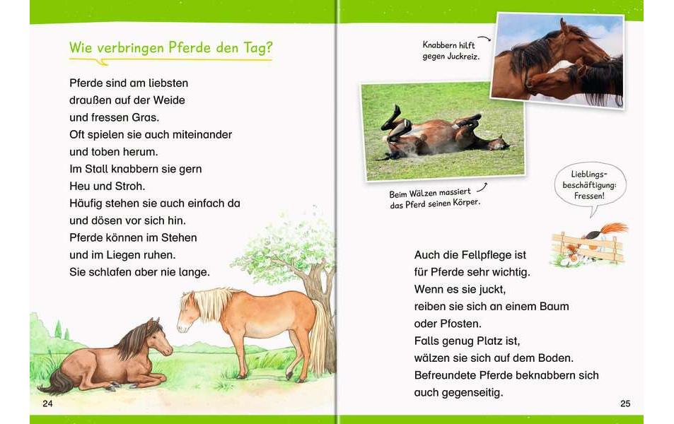 Kinder-Sachbuch WWW Erstleser: Pferde Band 6Lesetraining, Sachwissen und Spielspass!