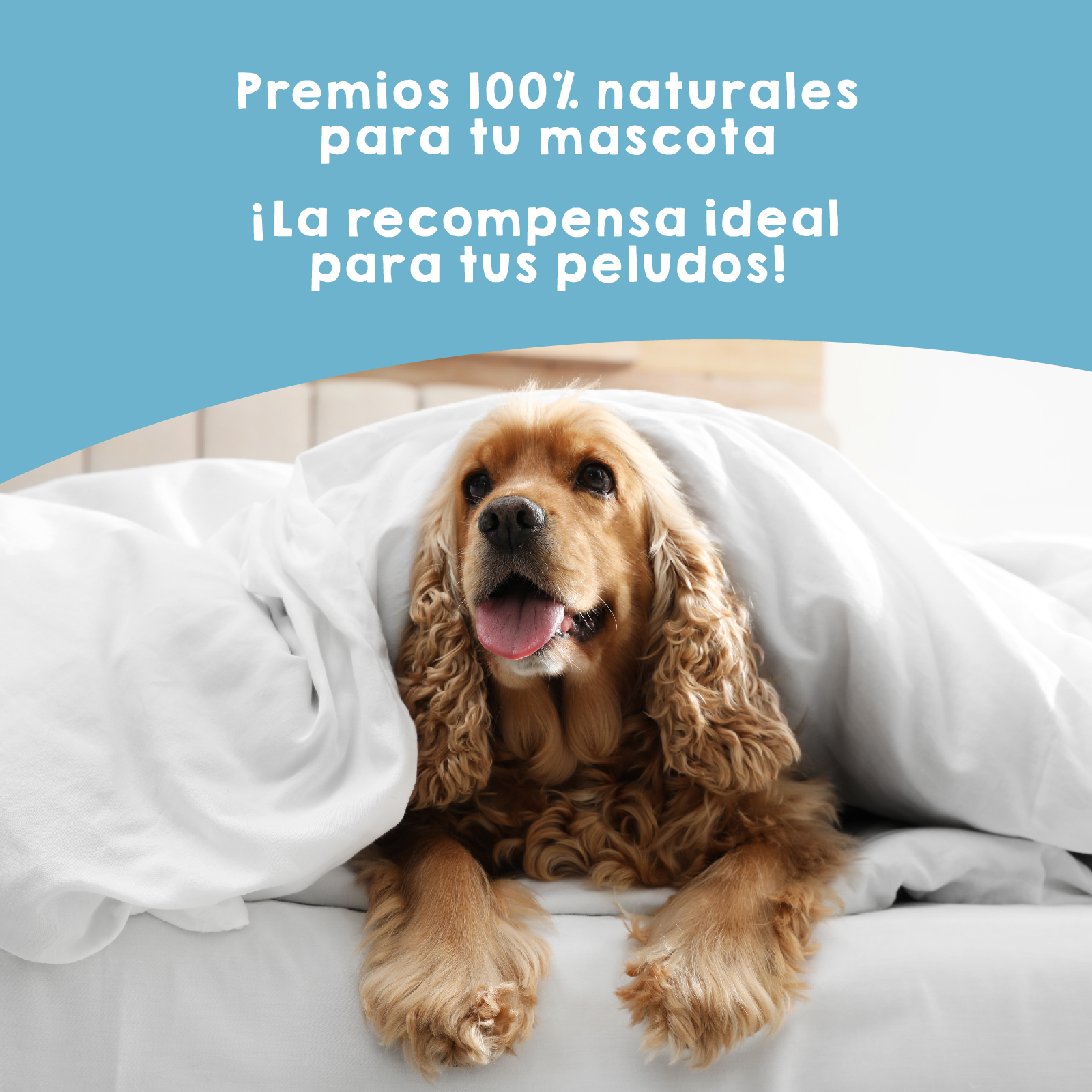Anchovas secas. 100g. Petiscos para cães e gatos. 100% naturais. MAIKAI PETS.