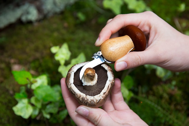 Mushroom Tool Keychain; Kikkerland