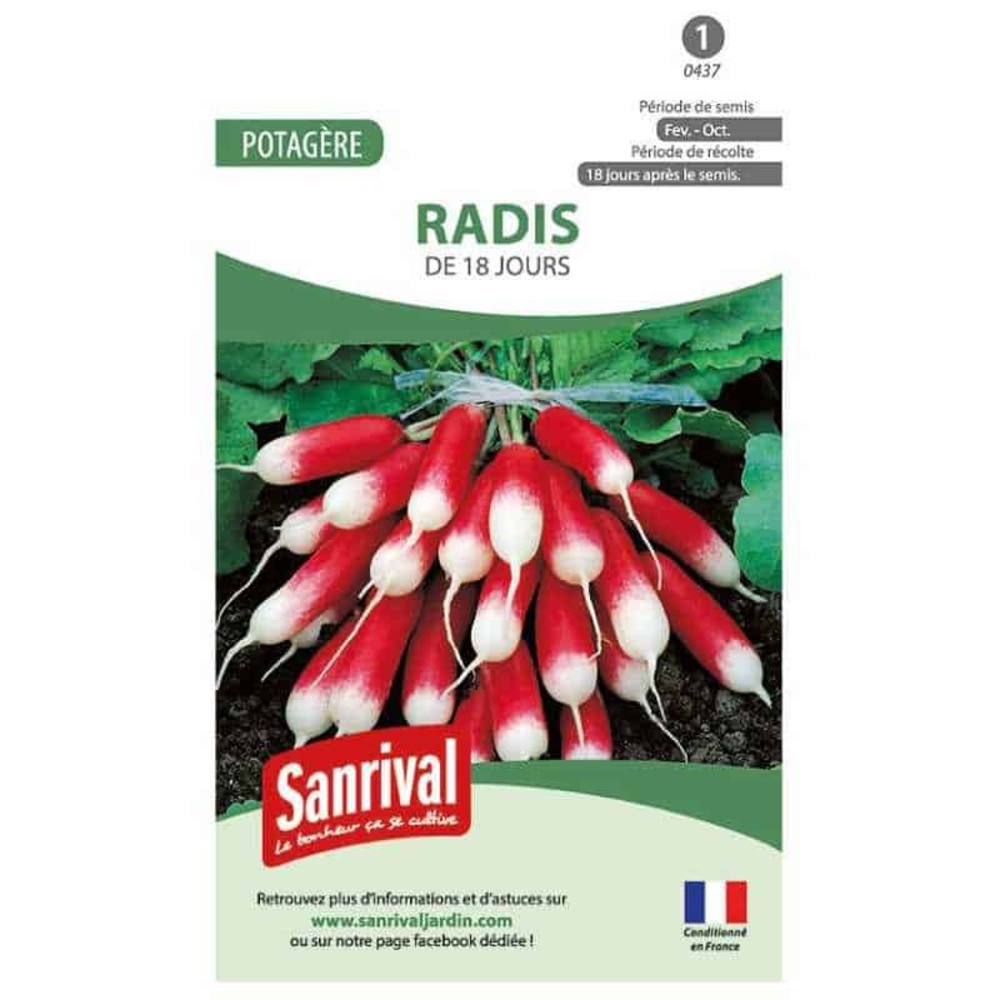 Graines radis de 18 jours