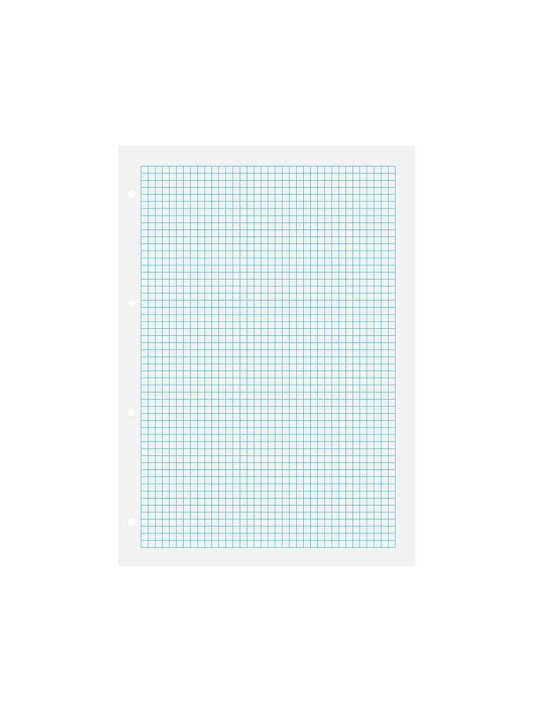 BRUNNEN VERLAG Ringbucheinlagen Kariert 50 Blatt mit Rahmen keine Farbe